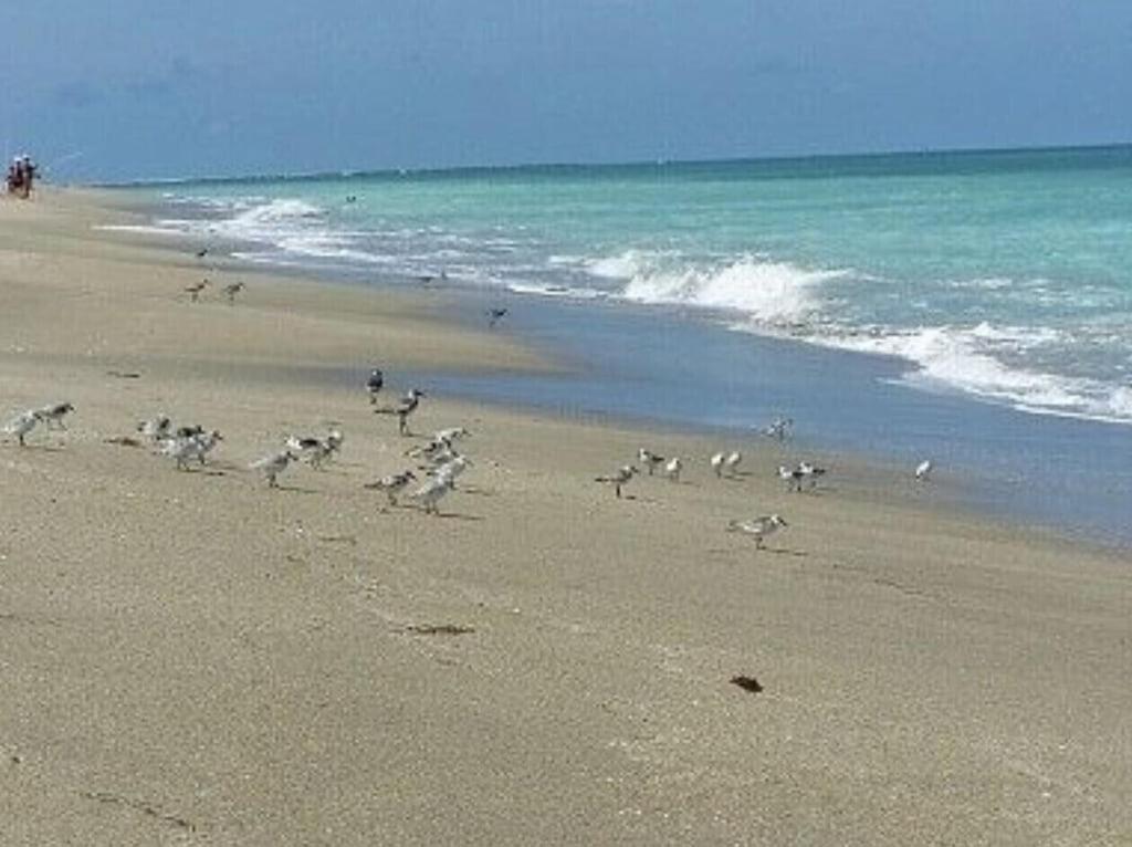 Excellent Beach Front Community, Golf Course, Tennis, Sunny Weather Year Round! Fort Pierce Exterior foto